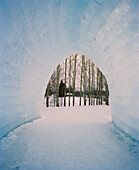 FINLAND, Rovaniemi, Arctic, interior of ice sculpture by Tadao Ando and Tatsuo Miyajima at the Ice Show in Rovaniemi.