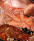 USA, Nevada, Las Vegas, fresh seafood at Bartolotta Restaurant