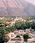 OMAN, cityscape amid trees with mountain in background, elevated view