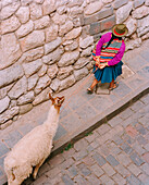 PERU, Cusco, South America, Latin America, high angle view of a woman pulling Ilama in Cusco.