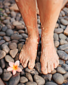 SINGAPORE, Asia, close-up of muddy human legs on spa pebbles with a flower at the Sentosa Resort Spa.