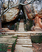 SRI LANKA, Asia, entrance of Sigiriya Fortress