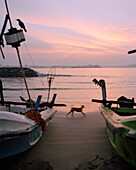 SRI LANKA, Asia, Galle, sunrise at Galle with fishing boats