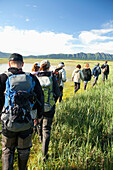 ALASKA, Homer, a group of hikers go on a bear viewing walk, Katmai National Park, Katmai Peninsula, Hallow Bay, Gulf of Alaska