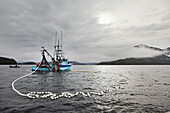 ALASKA, Sitka, seiners fish outside of Deep Inlet, Big Fjord, the mount of ReDoubt Bay