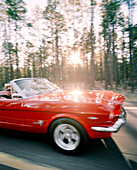 USA, Arizona, couple on a road trip in a mustang convertible, Route 66