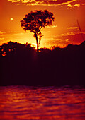 BOTSWANA, Africa, Okavango Delta Sunset