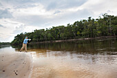 BRAZIL, Agua Boa, fly fisherman casting on a tributary of the Amazon River, Agua Boa River and resort
