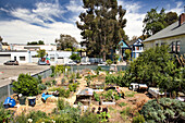 USA, California, Ghost Ranch Organic Farm, Oakland