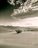 USA, California, Stovepipe Wells sand dunes, Death Valley National Park (B&W)
