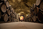 USA, California, Sonoma, Buena Vista Carneros winery, the oldest premium winery, a cave built in 1857