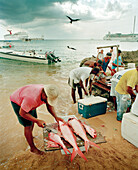 CAYMAN ISLANDS, Caribbean, fishermen cutting and selling red snapper, Grand Cayman