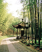 CHINA, Hangzhou, old temple in Meijai Wu bamboo forest