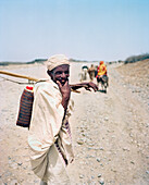 ERITREA, Foro, A Bedouin herder follows his livestock down a dirt road