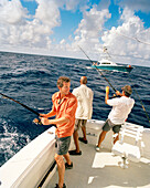 USA, Florida, three men fishing on the back of a boat, Islamorada