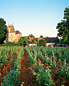 FRANCE, Aloxe-Corton, Burgundy, vineyard and Villa Louise in the small town of Aloxe-Corton