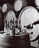 FRANCE, Montigny-les-Arsures, Arbois, Jacques Puffeney pours wine in his barrel room, Jacques Puffeney Winery, Jura Wine Region, Vin Jaune (B&W)