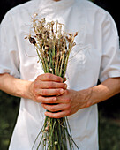 FRANCE, Arbois, Second de Cuisine YoAnn Constanty holds freshly picked wild garlic from the countryside, Jura Wine Region