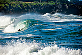 USA, Hawaii, boogie border riding a wave at Waimea Bay, the North Shore