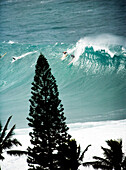USA, Hawaii, surfers riding a wave with trees in foreground, Waimea Bay