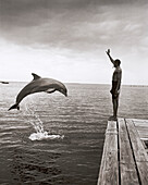 HONDURAS, Roatan, dolphin trainer and jumping dolphin, Anthony's Key (B&W)