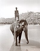 INDIA, Jaipur, man on elephants back in river in front of the Amber Palace (B&W)