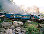 INDIA, Darjeeling Himalayan Railway, Kurseong