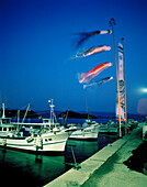 JAPAN, Kyushu, boats moored in Genkai Harbor at night