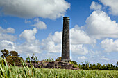 MAURITIUS, hundreds of old sugar cane refinery smokestacks are left as a reminder of the once bustling sugarcane industry