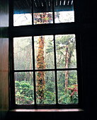 PANAMA, David, Guadalupe, Los Quetzales Lodge, room view from a cabin at the Los Quetzales Lodge, located in pristine cloud forest in the Chiriqui highlands, Central America