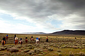 USA, Wyoming, Encampment, cowboys ride out on horseback to gather cattle for a branding, Big Creek Ranch
