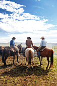 USA, Wyoming, Encampment, cowboys take a break on their horses during a branding, Big Creek Ranch