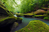 Durch mossbewachsene Sandsteinfelsen schlängelt sich der Fluss Kamnitz in der Edmundsklamm im Frühling, Stille Klamm nahe Hrensko, Böhmischen Schweiz, Tschechien