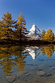 Blick auf das Matterhorn mit Spiegelung im Grindjisee mit Lärchen im Herbst, Zermatt, Wallis, Schweiz