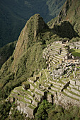 Detail of Terraces with sugar loaf mountain of Machu Picchu, Cusco, Cuzco, Peru, Andes, South America