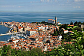 Blick auf Piran, Golf von Triest, Slowenien