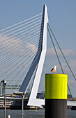 View to the Erasmusbrug, Rotterdam, The Netherlands