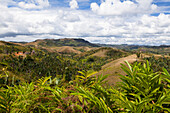 Entwaldetes Hochland in der Nähe von Andasibe, Ost-Madagaskar, Afrika