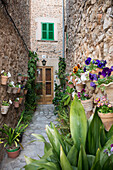 Flower pots on the wall of a house, Valdemossa, Majorca, Spain