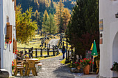 Weg führt aus Bergdorf S-charl, Scuol, Engadin, Kanton Graubünden, Schweiz
