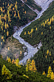 Blick ins Val Cluozza im Herbst, Schweizerischer Nationalpark, Kanton Graubünden, Schweiz