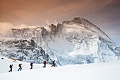 Group of skier ascending, Zermatt, Dent d Herens in background, Zermatt, Canton of Valais, Switzerland