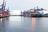 Container ships loading and unloading at the container terminal Burchardkai, Waltershofer Hafen, Hamburg, Germany