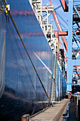 Container ship in Container Terminal Burchardkai, Hamburg, Germany