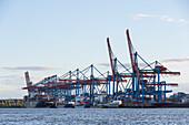 Container ships being loaded and unloaded at the container terminal Altenwerder, Hamburg, Germany