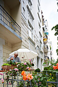 Resident of the Isestrasse replanting his flower-box, houses from number 63 upwards, Eppendorf, Hamburg, Germany