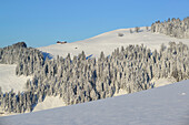 Snow-covered alps at Brennkopf, Brennkopf, Chiemgau range, Tyrol, Austria