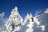 Zwei Skitourengeher beim Aufstieg zum Spitzstein, Chiemgauer Alpen, Tirol, Österreich
