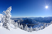 Snow-covered trees at Teufelstaettkopf, view to Ammergauer Alps and Wetterstein range, Teufelstaettkopf, Puerschling, Ammergauer Alps, Upper Bavaria, Bavaria, Germany
