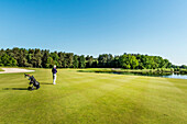 Golfer on the fairway, Winsen, Schleswig-Holstein, Germany